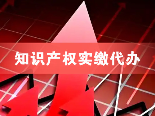 孝昌知识产权实缴资本代办